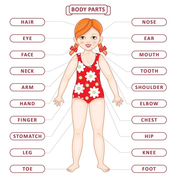 Vector plana pelirroja chica cuerpo parte vocabulario — Vector de stock