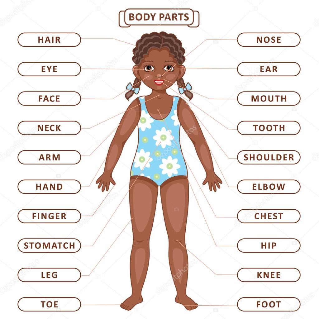 Vector flat redhead girl body part vocabulary