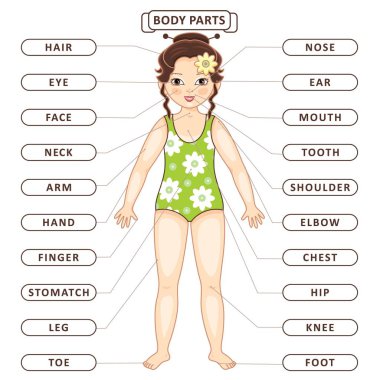 Vector flat asian girl body part vocabulary clipart