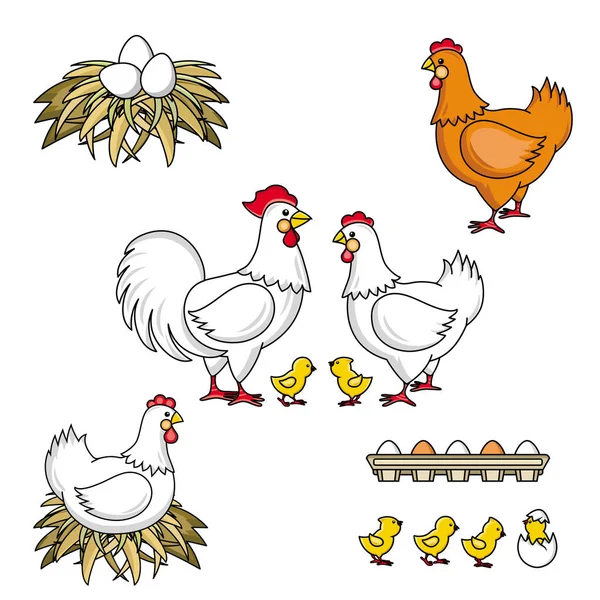 Набор петуха, курицы, курицы, гнезда и яиц — стоковый вектор