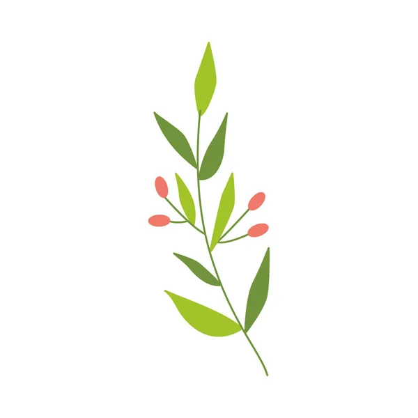 Vecteur plat abstrait plante verte avec icône de baie — Image vectorielle