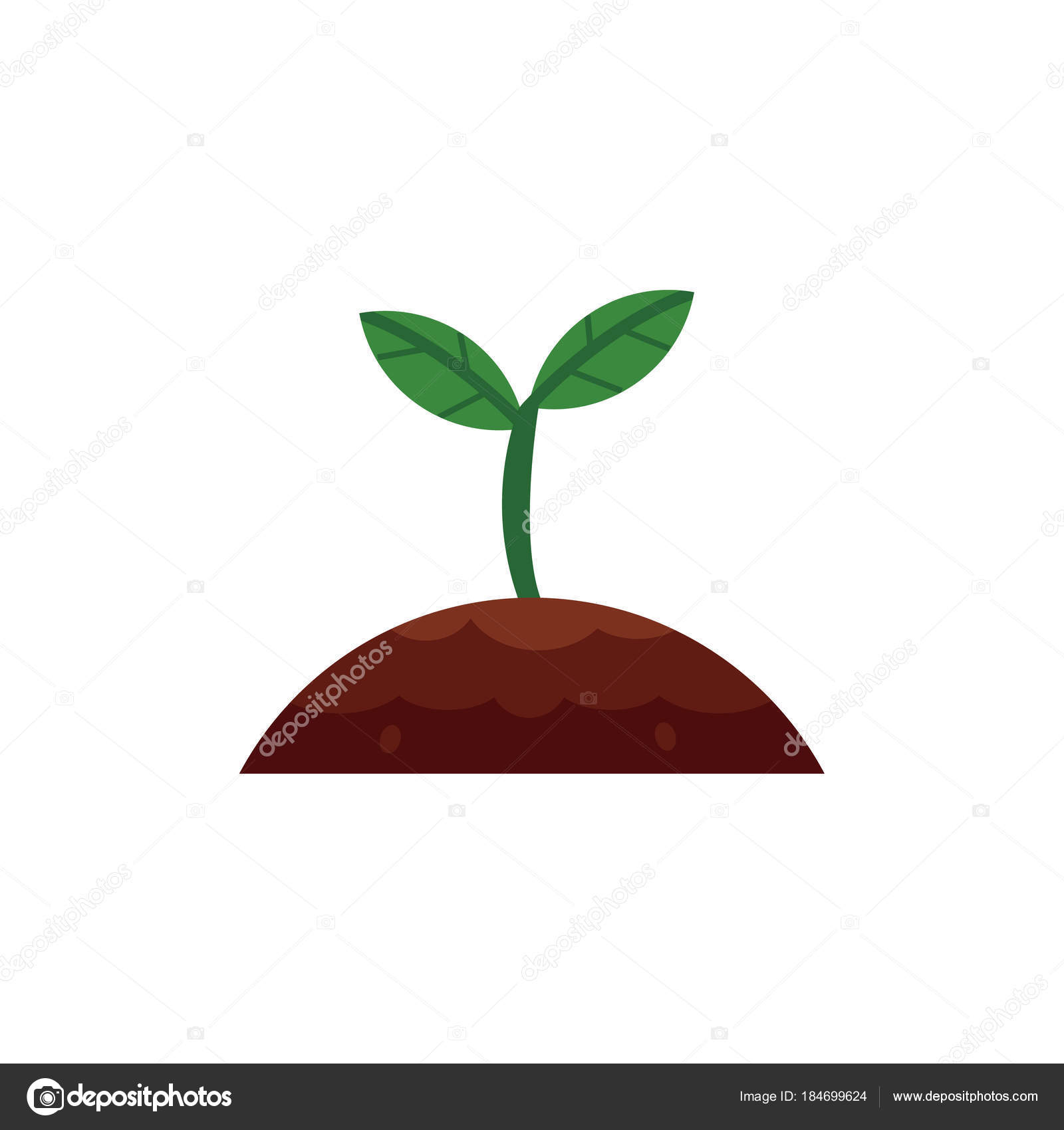 苗 イラスト 写真素材 フォトライブラリー 苗 イラスト 写真素材 フォトライブラリー