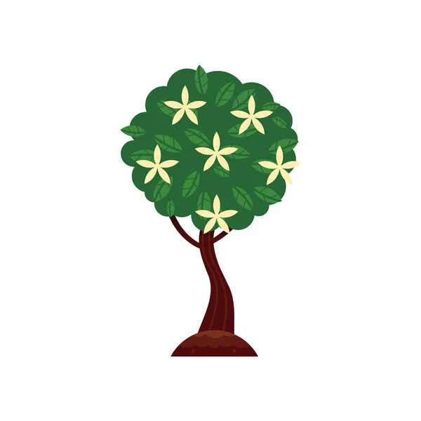 Árbol abstracto verde plano vectorial con icono de follaje — Vector de stock