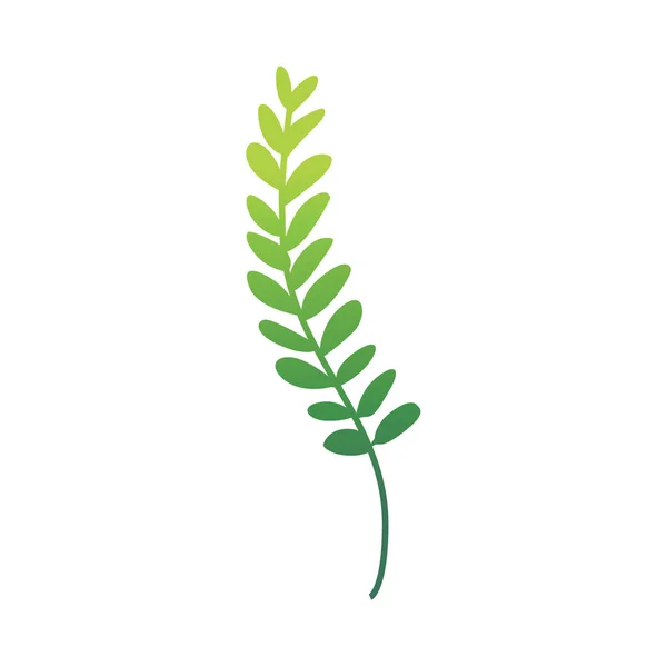 Vektör düz soyut yeşil fern bitki simgesi — Stok Vektör
