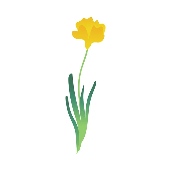 Vector cartoon abstract yellow flower tulip icon — Stock Vector
