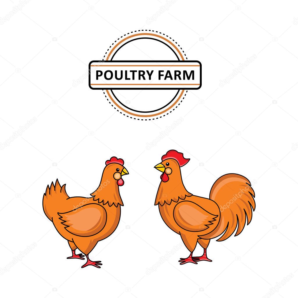 vector flat hand drawn rooster, chicken isolated