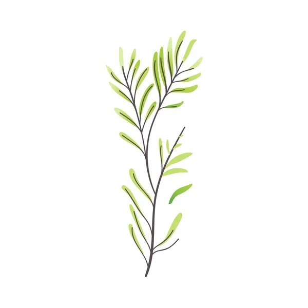 Vector de dibujos animados abstracto icono de la planta verde — Archivo Imágenes Vectoriales