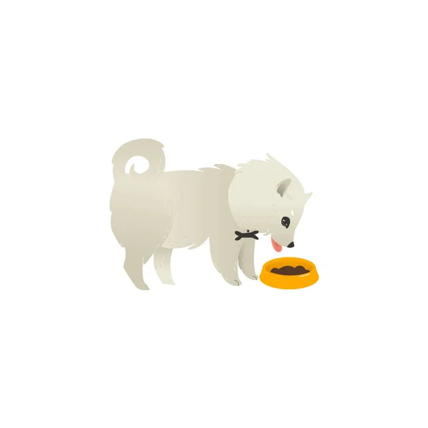 Roztomilý nadýchané malý pes jíst z misky, boční pohled — Stockový vektor