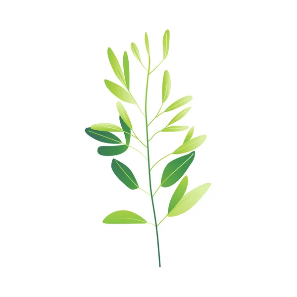 Vektor Karikatur abstrakte grüne Pflanze Symbol — Stockvektor
