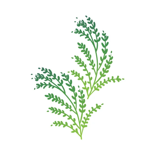 Vector cartoon abstracte groene plant pictogram — Stockvector
