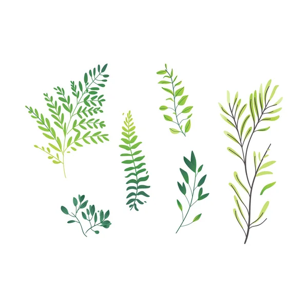 Dibujos animados vectorial planta verde abstracta conjunto icono — Vector de stock