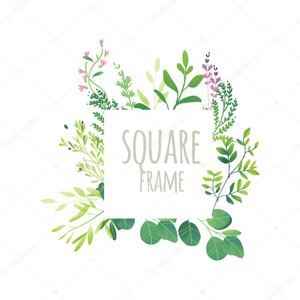 Square frame of green leaves, flowers and branches