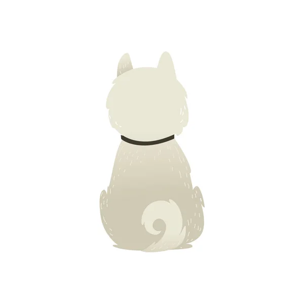 Cute sitting backwards white fluffy dog isolated on white background. — Stock Vector