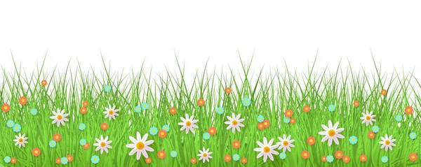 Spring background with grass and flowers border on white backdrop with empty space for text. — Stock Vector