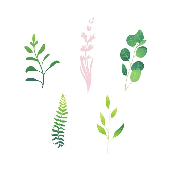 Vecteur dessin animé abstrait vert plante set icône — Image vectorielle