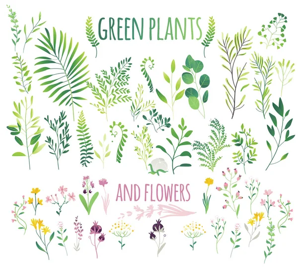 Conjunto grande de hojas verdes planas, ramitas y flores — Vector de stock