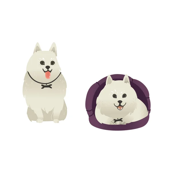 Conjunto de felices perros blancos sonrientes sentados y acostados en la cama del perro . — Vector de stock
