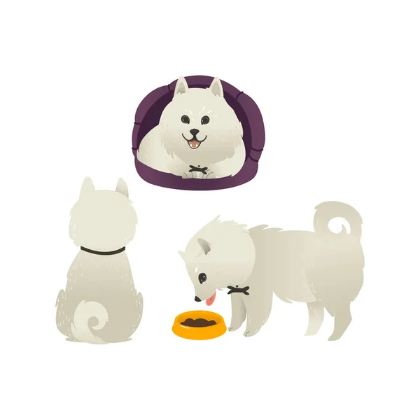 Zestaw szczęśliwy uśmiechający się białe psy siedzi, jeść z miski i leżąc w łóżku pies. — Wektor stockowy