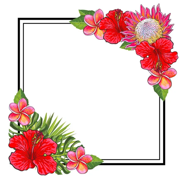 Ramo de flores tropicales elementos en las esquinas de forma cuadrada con espacio de copia . — Archivo Imágenes Vectoriales
