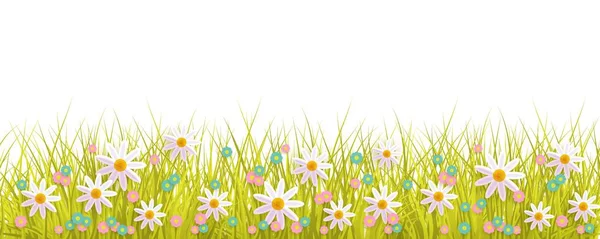 Frühling Hintergrund mit Gras und Blumen Rand auf weißem Hintergrund mit leerem Raum für Text. — Stockvektor