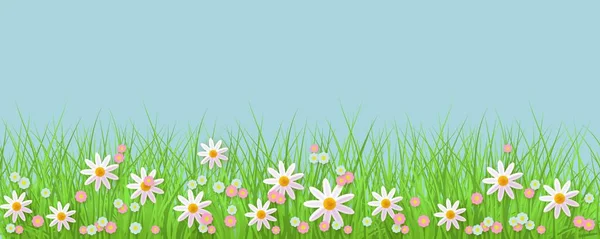 Frühling Hintergrund mit Gras und Blumen Rand gegen blauen Himmel mit leerem Raum für Text. — Stockvektor