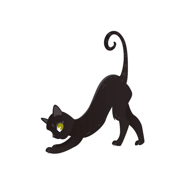 Vector dibujos animados gato animal estiramiento aislado — Vector de stock