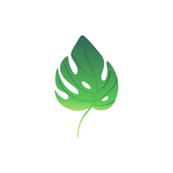 ベクトル漫画緑シダ植物リーフのアイコン — ストックベクタ