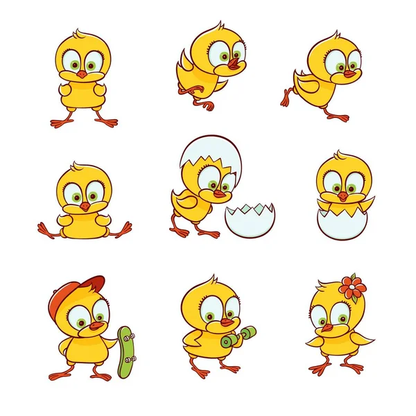 Ensemble de personnages de poulets nouveau-nés mignons — Image vectorielle