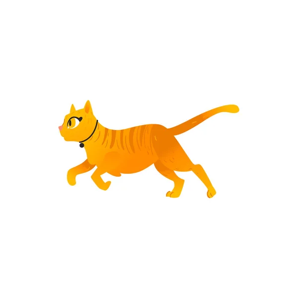 Vetor desenho animado gato rinning animal isolado — Vetor de Stock