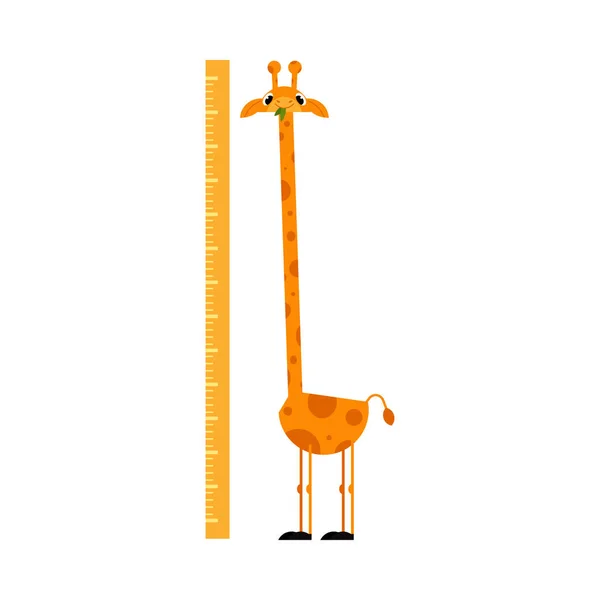 Personagem de desenho animado girafa engraçado com pescoço longo em pé ao lado da escala isolada no fundo branco . — Vetor de Stock