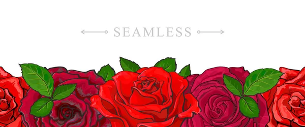 Röda rosor gränsar sömlösa mönster med romantiska handritad blomma blommar. — Stock vektor