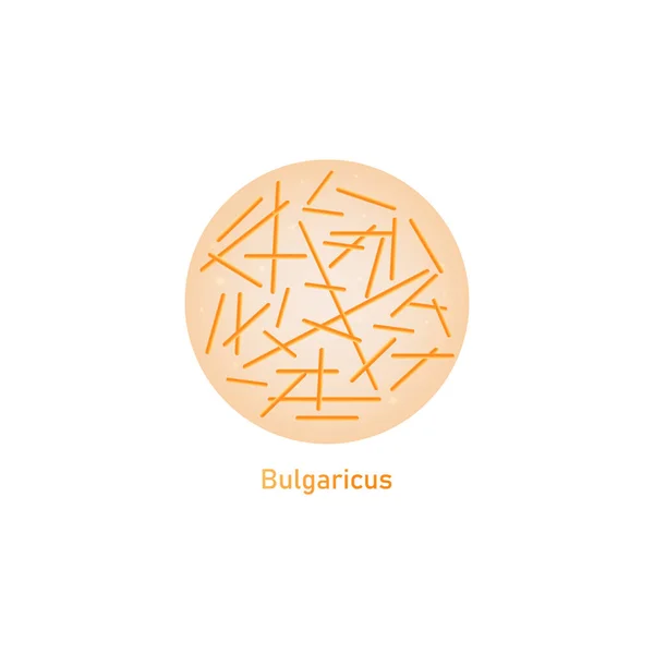 Bulgaricus bacterias de ácido láctico o macrovector probiótico ilustración aislada . — Vector de stock