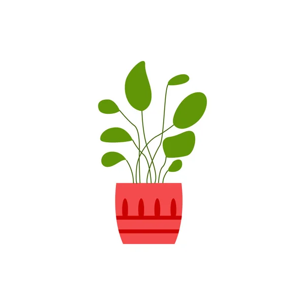 Plante maison avec des feuilles en pot décoratif icône plat vecteur illustration isolé . — Image vectorielle