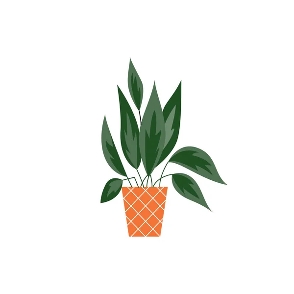 Haus tropische Pflanze mit Blättern im Topf Symbol, flache Vektorabbildung isoliert. — Stockvektor