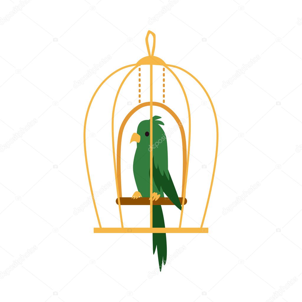 Green exotic parrot bird in cage icon, flat cartoon vector illustration isolated on white background. Colorful logo or emblem for pets shop or veterinary clinic.