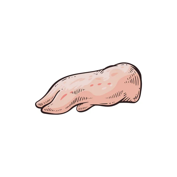 Carne de cerdo elemento gráfico pie con pezuña, dibujo de dibujos animados vector ilustración aislado . — Archivo Imágenes Vectoriales