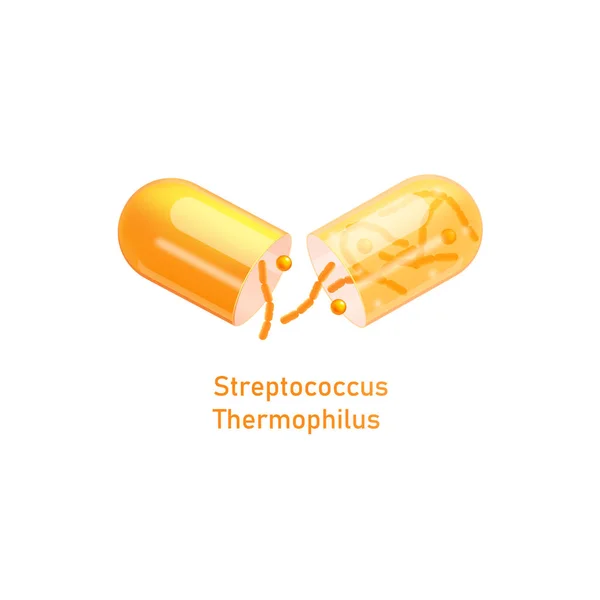 Streptococcus Thermophilus pillola probiotica realistica illustrazione vettoriale isolato . — Vettoriale Stock