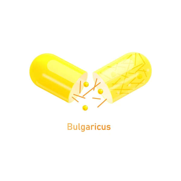Bulgaricus probiotiques bactéries dans la pilule illustration vectorielle réaliste isolé . — Image vectorielle