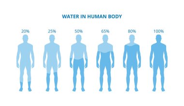 İnsan vücudundaki su - farklı susuz vücutlara sahip sağlık posteri