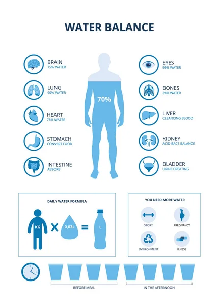 Waterbalans ingesteld met lichaam en organen pictogrammen, vector illustratie geïsoleerd. — Stockvector