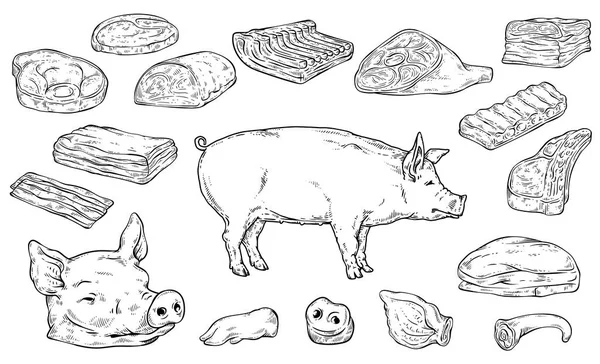 Severed big body parts and meat cuts in colorless hand drawn sketch style — 스톡 벡터