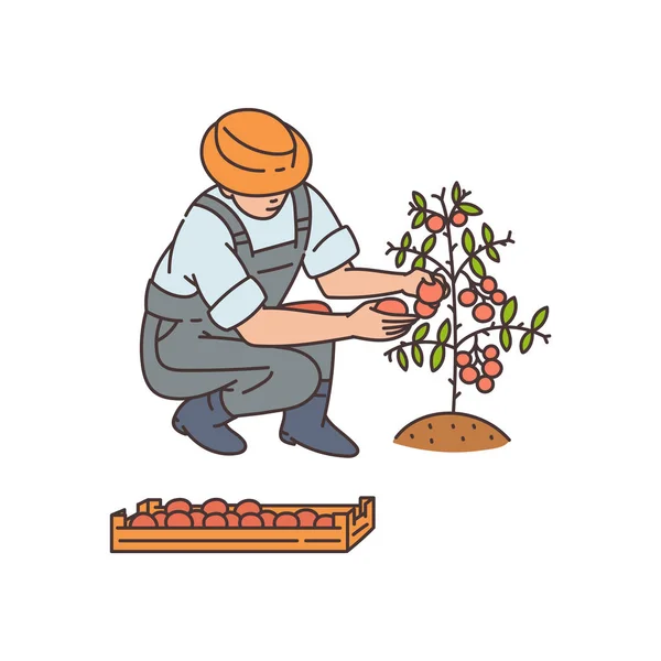 Växter odling lantbruk teknik skiss vektor illustration isolerad. — Stock vektor