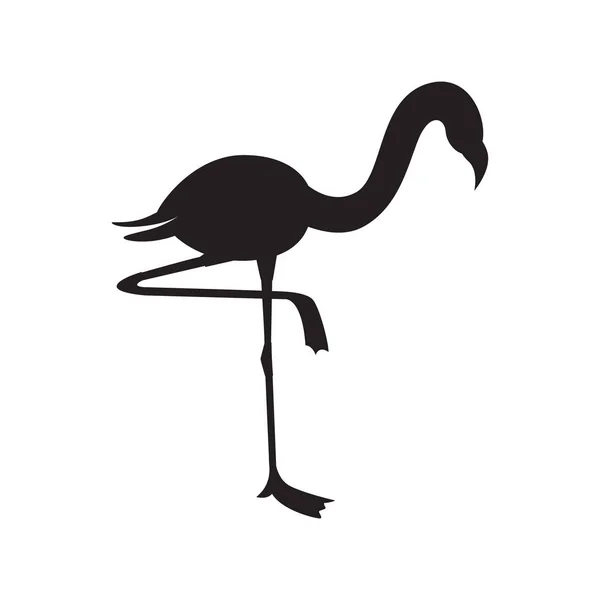 Flamant rose oiseau debout silhouette noire icône vectoriel illustration isolé . — Image vectorielle