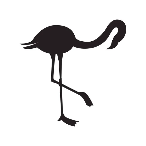 Fekete vázlat vagy sziluett trópusi flamingó lapos vektor illusztráció izolált. — Stock Vector