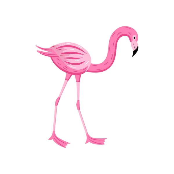Flamingo rosa para tarjetas de fiesta de verano ilustración plana vector de dibujos animados aislado . — Vector de stock
