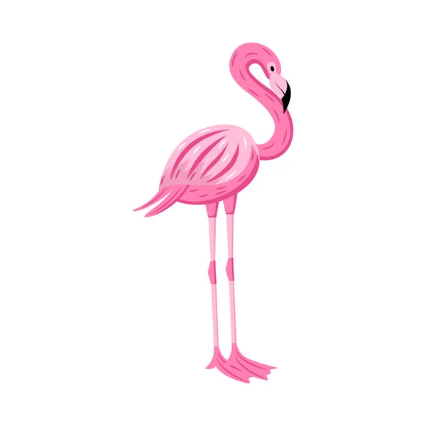 Personaje de dibujos animados de pájaro flamenco tropical rosa, ilustración vectorial aislada . — Vector de stock