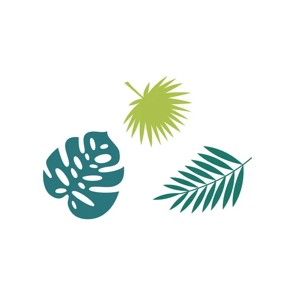 Set of palm tropical leaves exotic shape flat vector illustration isolated. — Stock vektor