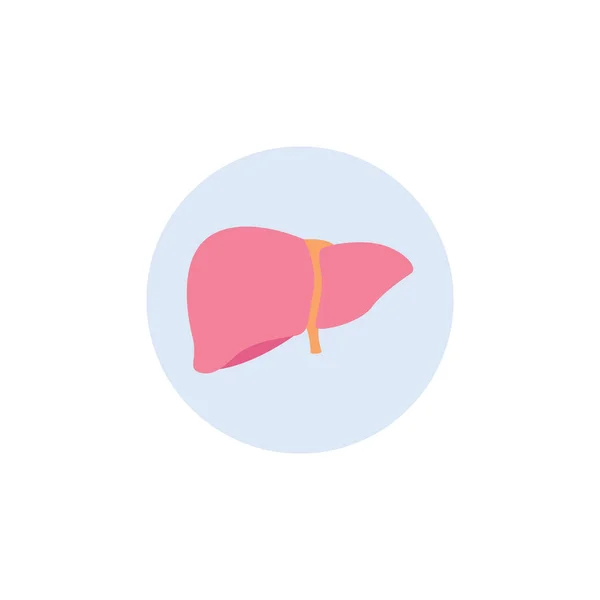 Órgão interno humano - ícone ou símbolo do fígado, ilustração vetorial plana isolada . — Vetor de Stock