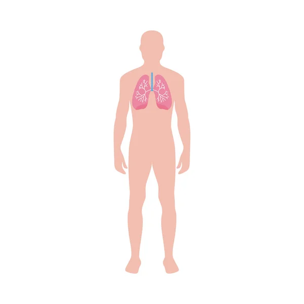 Αναπνευστικό σύστημα infographic με τους πνεύμονες επίπεδη διανυσματική απεικόνιση απομονωμένη. — Διανυσματικό Αρχείο