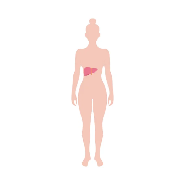 Infografía del organismo femenino con ilustración de vectores planos de signos hepáticos aislados . — Vector de stock